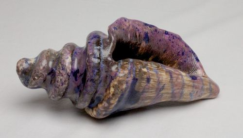 Muschelschale