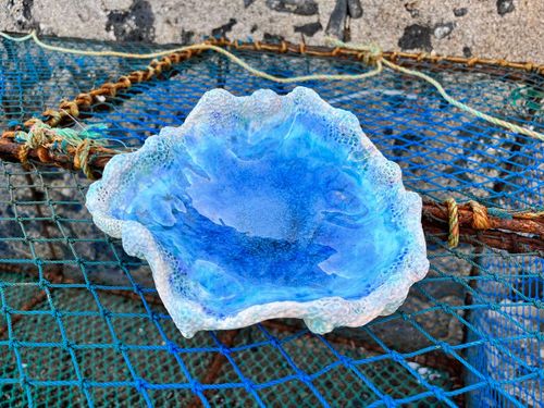 Muschelschale